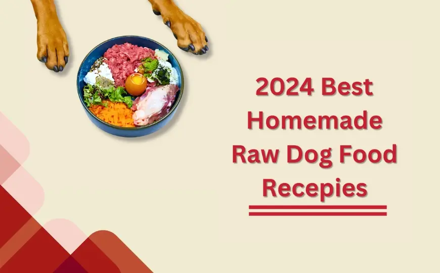 12 Diy Homemade Raw Dog Food Recipes [vet-Approved]